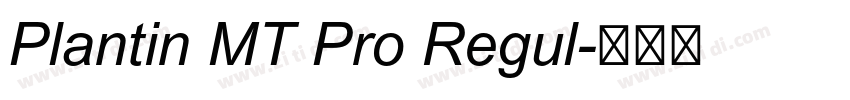Plantin MT Pro Regul字体转换